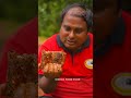 katta karuvadu fish gravy and fish fry world food tube