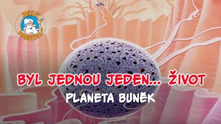 Byl jednou jeden zivot 🌱- Planeta bunek 🧫