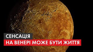 Сенсаційна знахідка: Вчені знайшли на Венері ознаки життя: хто може жити на планеті