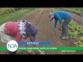 latinoamÉrica mujeres rurales lideran acciones por el clima