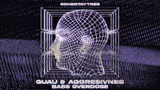 Guau \u0026 Aggresivnes - Bass Overdose