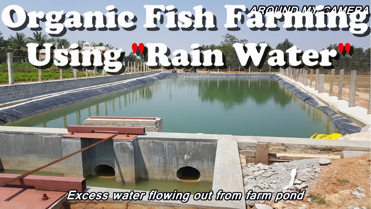 Fish Farming Using RainWater | Farm Pond Construction | RainWater ...