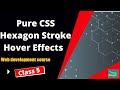 web designing css course  || Pure CSS Hexagon Stroke Hover Effects  || CLASS 5 || they says!