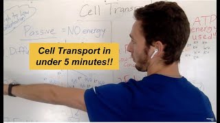 Cell Transport in under 5 Minutes!