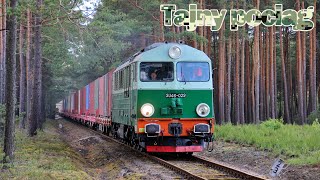 SU46-029. Tajny pociąg w Borach Dolnośląskich :)