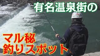 激流の堰下で魚群を発見した！