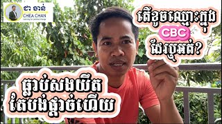 ធ្លាប់សងយឺត តែបង់ផ្តាច់ហើយ តើខូចឈ្មោះក្នុង CBC ឬអត់?