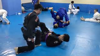 未経験者用クラス7【スパイダーガードから攻撃基本】グレイシー柔術の護身術・BJJ GYM・千葉県船橋市