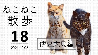 ねこねこ散歩（18）伊豆大島編