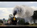 Australian Steam: The Grainlander to Wycheproof and Sea Lake with R707 N474 & A66 - Sep 2023 Part 1