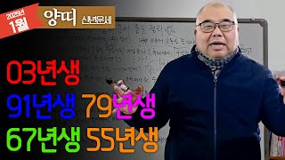 2025년 신년운세 양띠 평화 추구 고독과 함께.. 오히려 좋은 편ㅣ을사년 1월 양띠운세 03년생 91년생 79년생 67년생 55년생