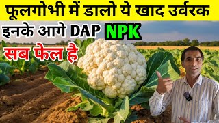 फूलगोभी में इन खाद उर्वरकों के आगे DAP-NPK सब फेल हैं | cauliflower farming |