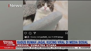 Polisi Periksa 6 Saksi Terkait Kasus Penjagalan Kucing di Medan - iNews Sore 30/01