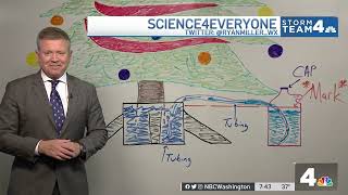 Holiday Science: How to Make a Christmas Tree Watering Device | NBC4 Washington