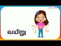 குழந்தைகளுக்கான முதல் 50 வார்த்தைகள் learn basic 50 tamil words for babies u0026 kids