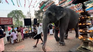 ശിവരാത്രി പ്രമാണിച് അമ്പല ദർശനത്തിന് ഇറങ്ങിയ കാവേരിപ്പെണ്ണ്  | kaveri | shivarathri | temple