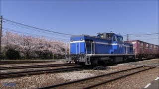 【京葉臨海鉄道】KD55 201 コンテナ貨物列車が到着(1091レ) Container Freight train