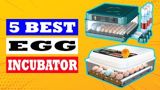 TOP 5 Best Egg Incubator Review in 2025