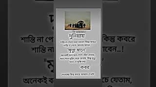 কি ভাবছেন?#সর্ট_ভিডিও #ইসলামিক ভিডিও