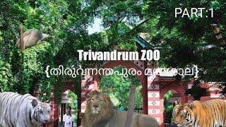 Thiruvananthapuram Zoo | തിരുവനന്തപുരം മൃഗശാലയിലെ മനോഹരമായ കാഴ്ചകൾ |Zoological Park Trivandrum🐍🦁🐎|