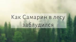 Как Денис Самарин в лесу заблудился I Истории из жизни