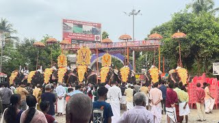 പഞ്ചവാദ്യം : കിഴക്കേ കടുങ്ങല്ലൂർ നരസിംഹ സ്വാമി ക്ഷേത്രം #ulsavam2024 #pooram2024 #panchavadhyam