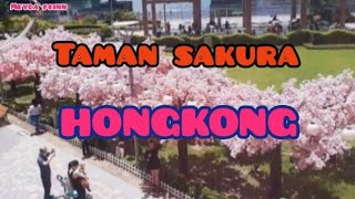 TAMAN SAKURA || NORTPOINT HONGKONG