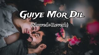 Guiya Mor Dil main | New Nagpuri Lofi Song | (Slowed+Reverb) Beautiful Feeling This Song #lofi