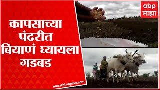 Yavatmal : कापसाच्या पंढरीत बियाणे विकत घेण्यासाठी शेतकऱ्यांची गडबड; पाच लाख हेक्टरवर कपाशीचे नियोजन