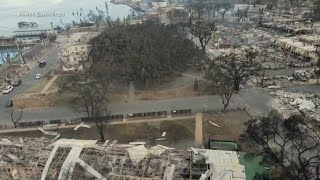 Hawaii Wildfires Latest: Butte County Sheriff gives insight on what's next for Maui community