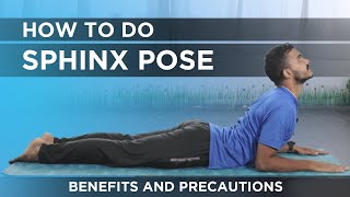 How to Perform Sphinx Pose | Yoga for Lower Back Pain | Yoga for Spine Health | Yog4Lyf