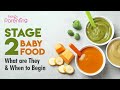 Stage 2 Baby Foods – What They Are & When to Begin