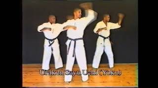 Uraken Sayu Ganmen Uchi of Ashihara Karate