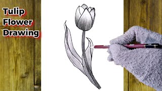 Amazing Tulip Drawing tutorial I Hyperrealistic Tulip Drawing Challenge |step by step Guide