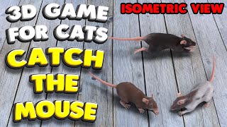 3D game for cats | CATCH THE MOUSE (isometric view)