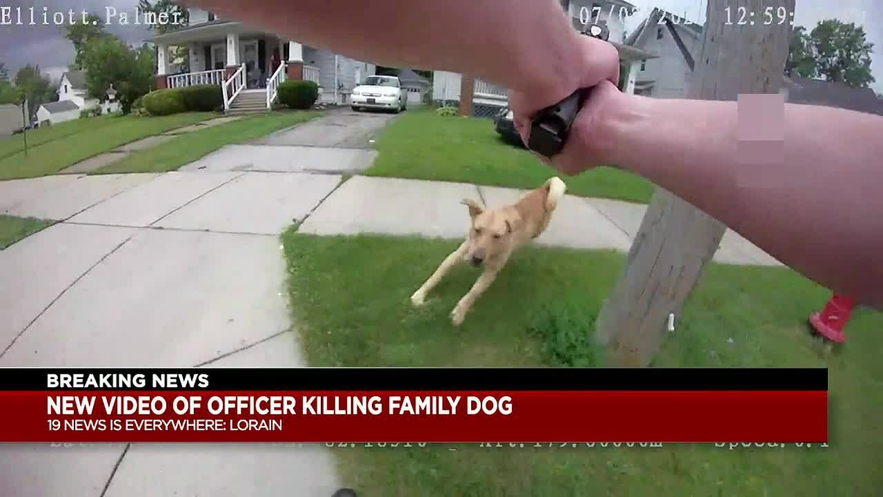 Lorain Police Release Bodycam Of Family’s Pet Dog Shot And Killed By ...