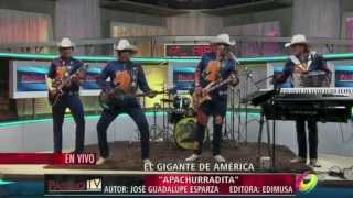"Apachurradita" Bronco El Gigante de América