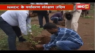 Jagdalpur पर्यावरण संरक्षण बर NMDC के उदिम | बड़े संख्या म कराए जात हे पौधारोपण