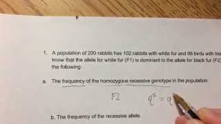 Hardy Weinberg Equilibrium Example Problem