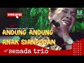 SENADA TRIO andung andung anak siapudan (LIVE COVER - AEK NAULI RESTO)