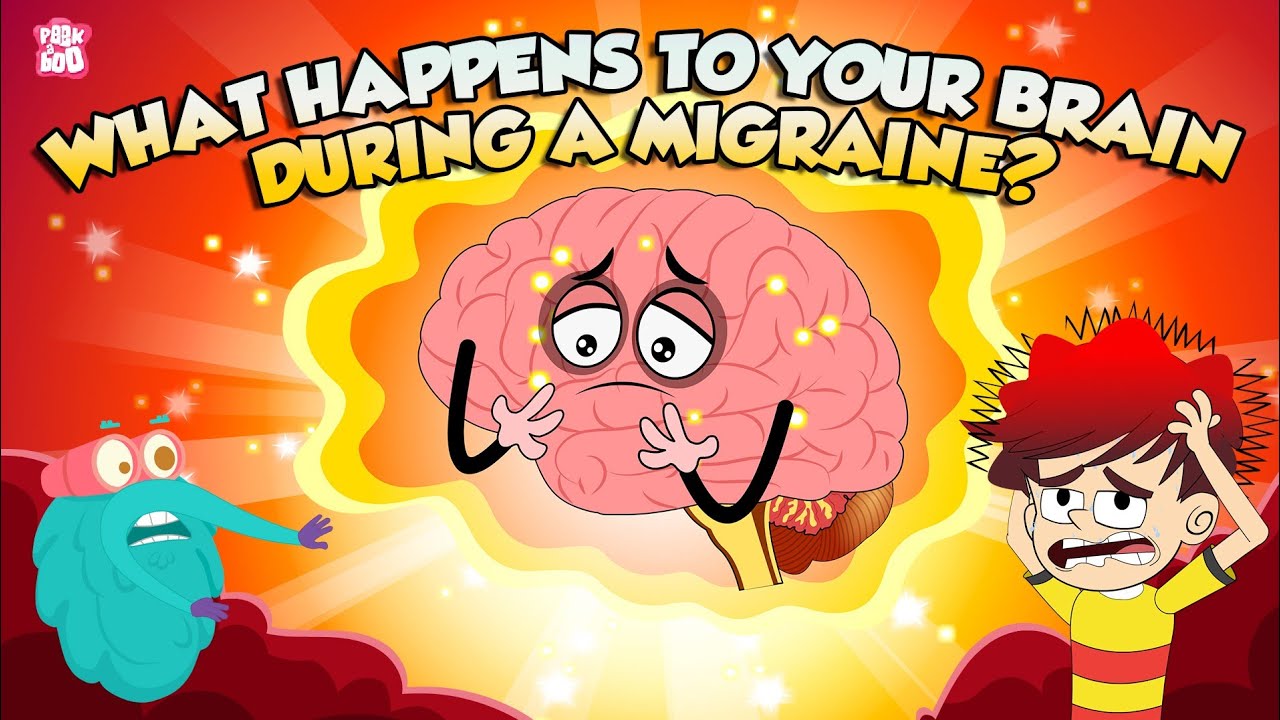 What Is A Migraine Headache? | What Happens To Your Brain During A ...