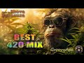 ☘️🔥Ganja Dub Reggae Instrumental Mix | Groovy Ape Mix 420 |  --184