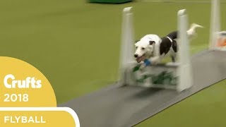Flyball - YKC Final | Crufts 2018