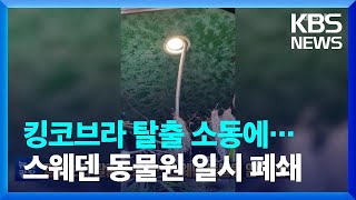 [글로벌K] 킹코브라 탈출 소동에…스웨덴 동물원 일시 폐쇄 / KBS  2022.10.25.