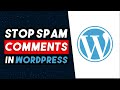 How To Stop Spam Comments On Wordpress 2024 (EASY WAY)