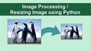 Image Processing in Python | Resizing Image using Python | Open CV Tutorial