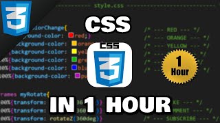 CSS in 1 hour 🎨【𝙁𝙧𝙚𝙚】