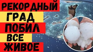 16-ти сантиметровый град уничтожил всё на своем пути! Люди в панике! Кто пострадал?