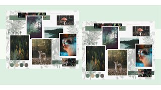 Create a Forest Mood Board