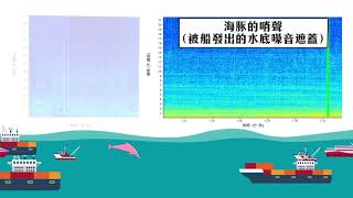 中華白海豚的哨聲被船發出的水底噪音遮蓋